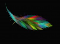 Cosmic Bird Colorful Plumule
