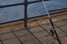 Fishing Off The Pier