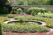 Garden Snake Fountain
