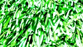 Green Abstract Background Pattern