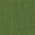 Green Texture Paper