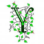 Ivy Capital Letter Y