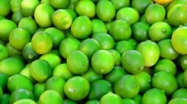 Limes For Sale