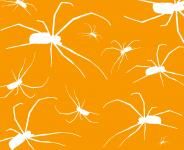 Multi Spider Background Orange