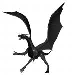 New Black Dragon