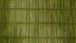 Olive Green Lined Background