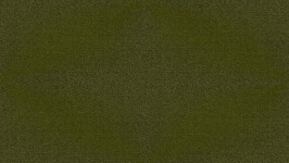 Olive Seamless Background
