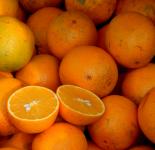 Oranges For Sale
