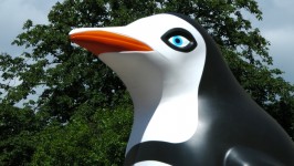 Penguin Statue Head
