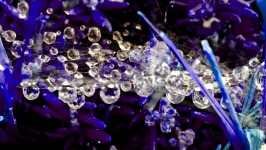Purple Droplets Background