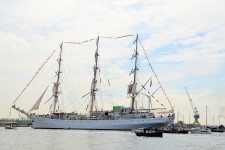 Sail Amsterdam 2015