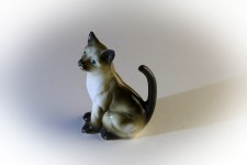 Siamese Cat In Porcelain