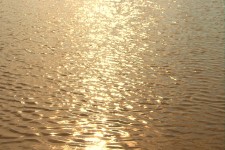 Sun On Water Ripples