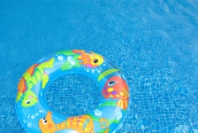 Swim Ring In A Pool
