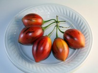 Tree Tomato Fruit