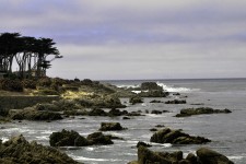 View Of Monterey Bay