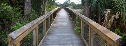 Walkway At State Park