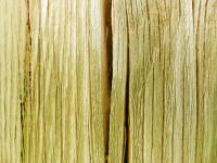 Wood Fence Texture Closeup