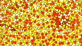 Yellow Abstract Circles Wallpaper