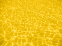 Yellow Seabed