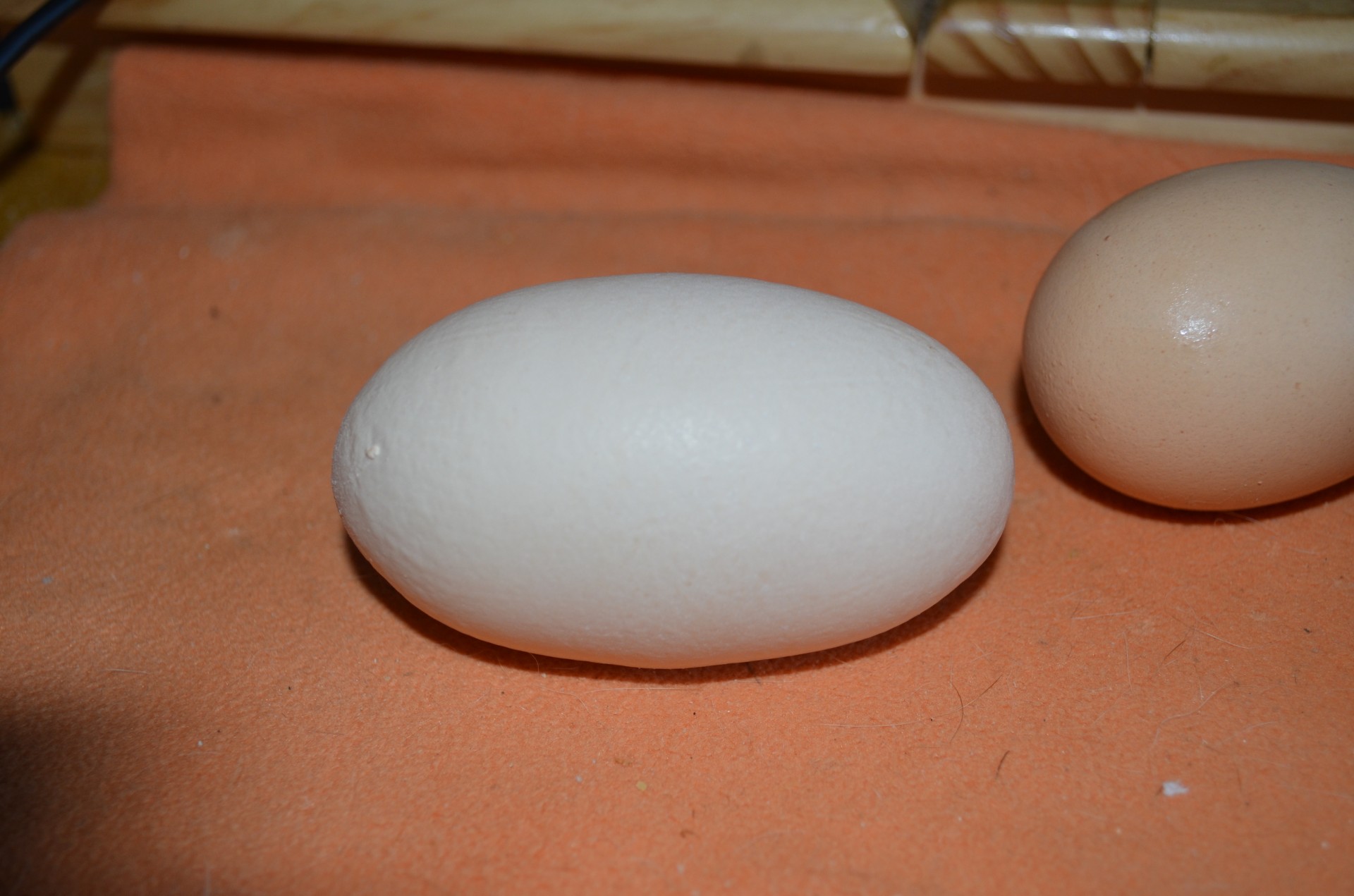 an egg weighing 100 grams,double yoke