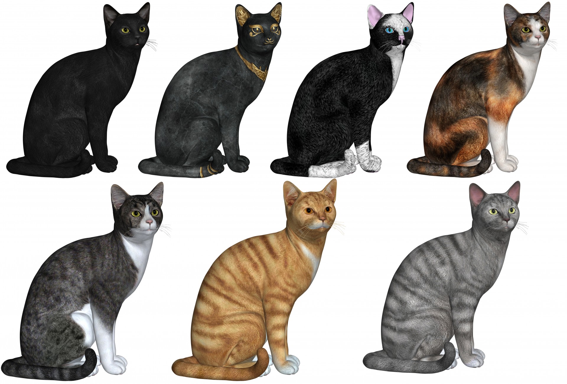7 Cats In Various Colours, 3d rendered cats