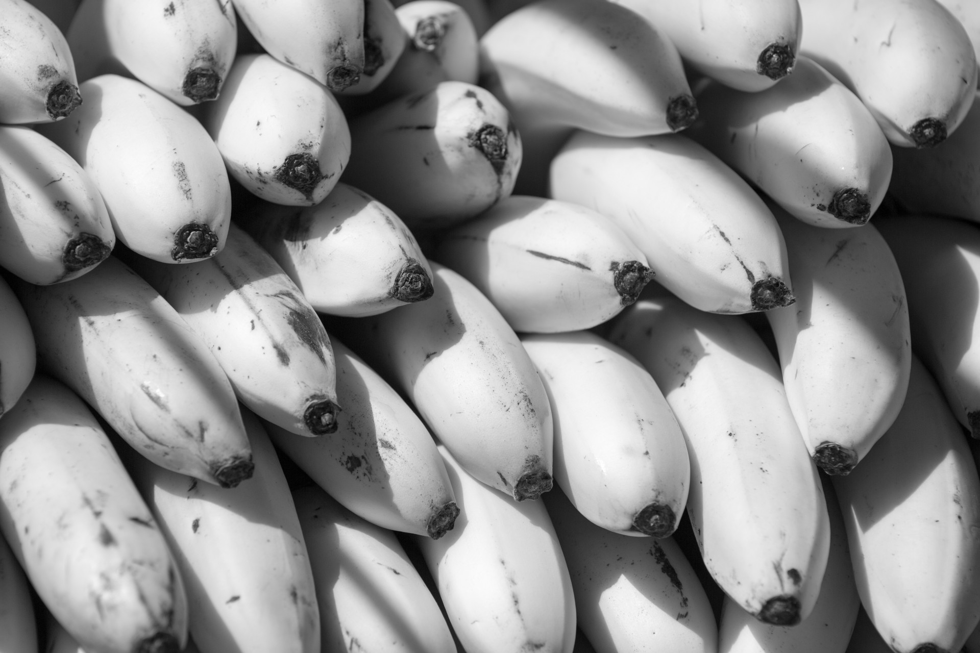 Black And White Bananas