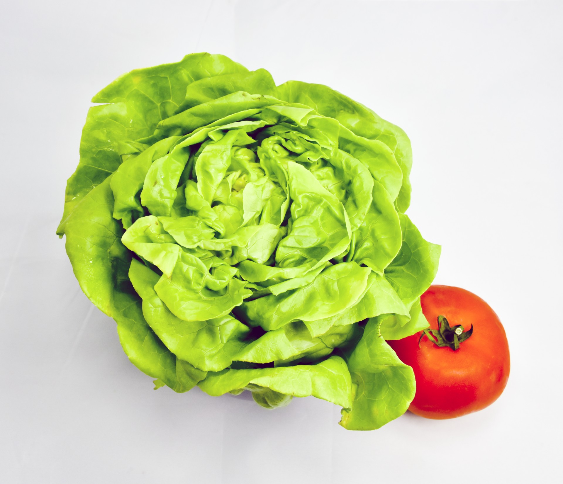 Still Life shot of a head of lettuce and a whole red tomato.