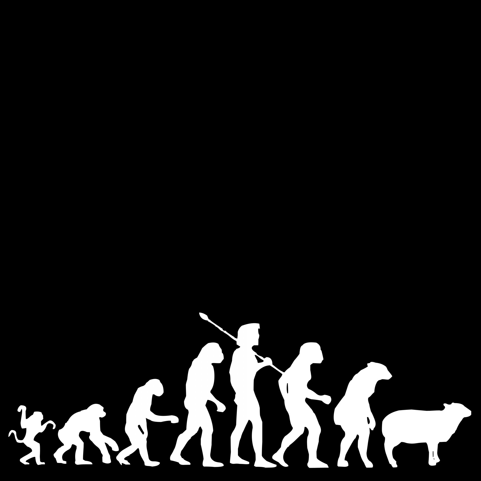 drawing of darwin evolution white figures on black background