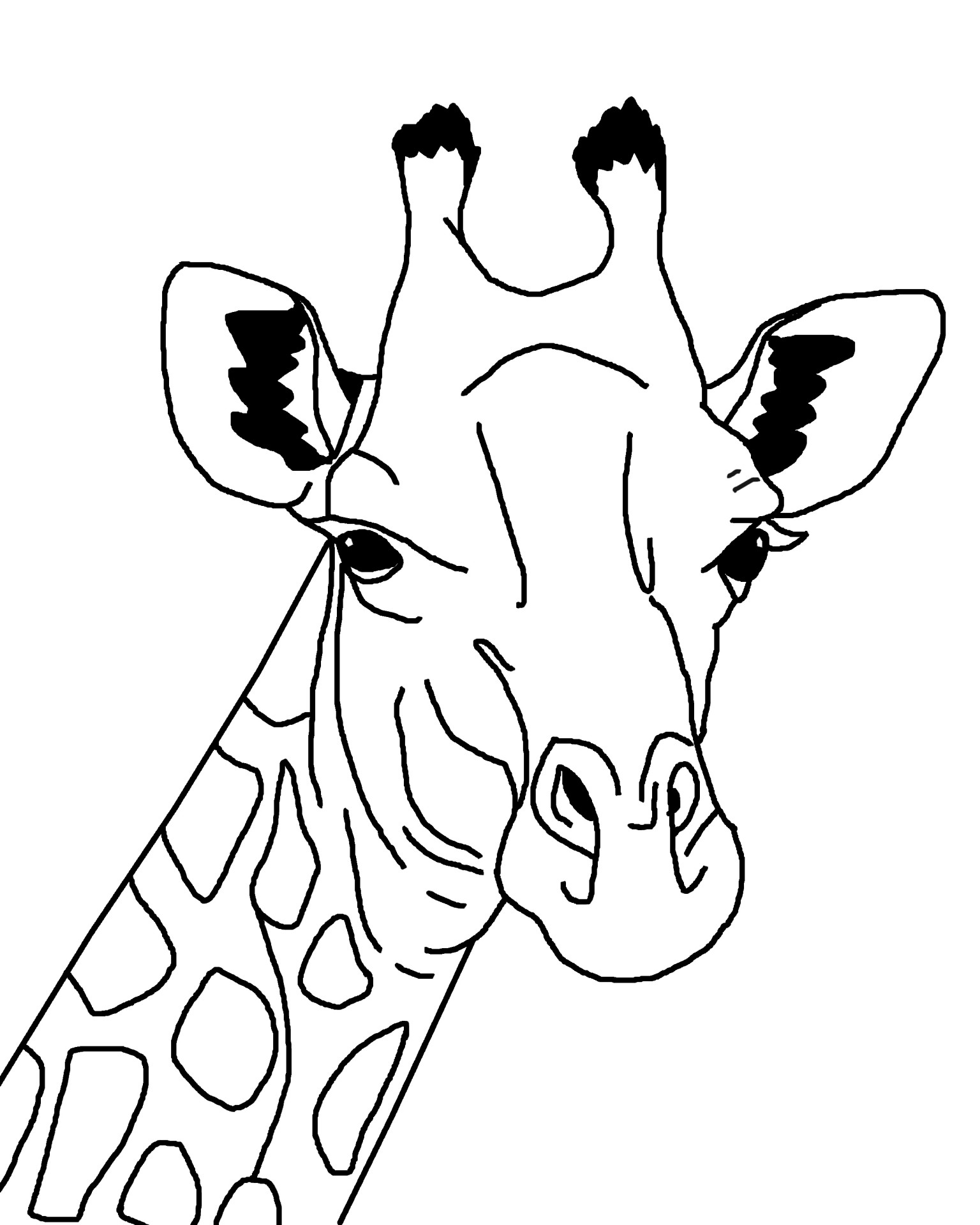 Giraffe Outline Illustration