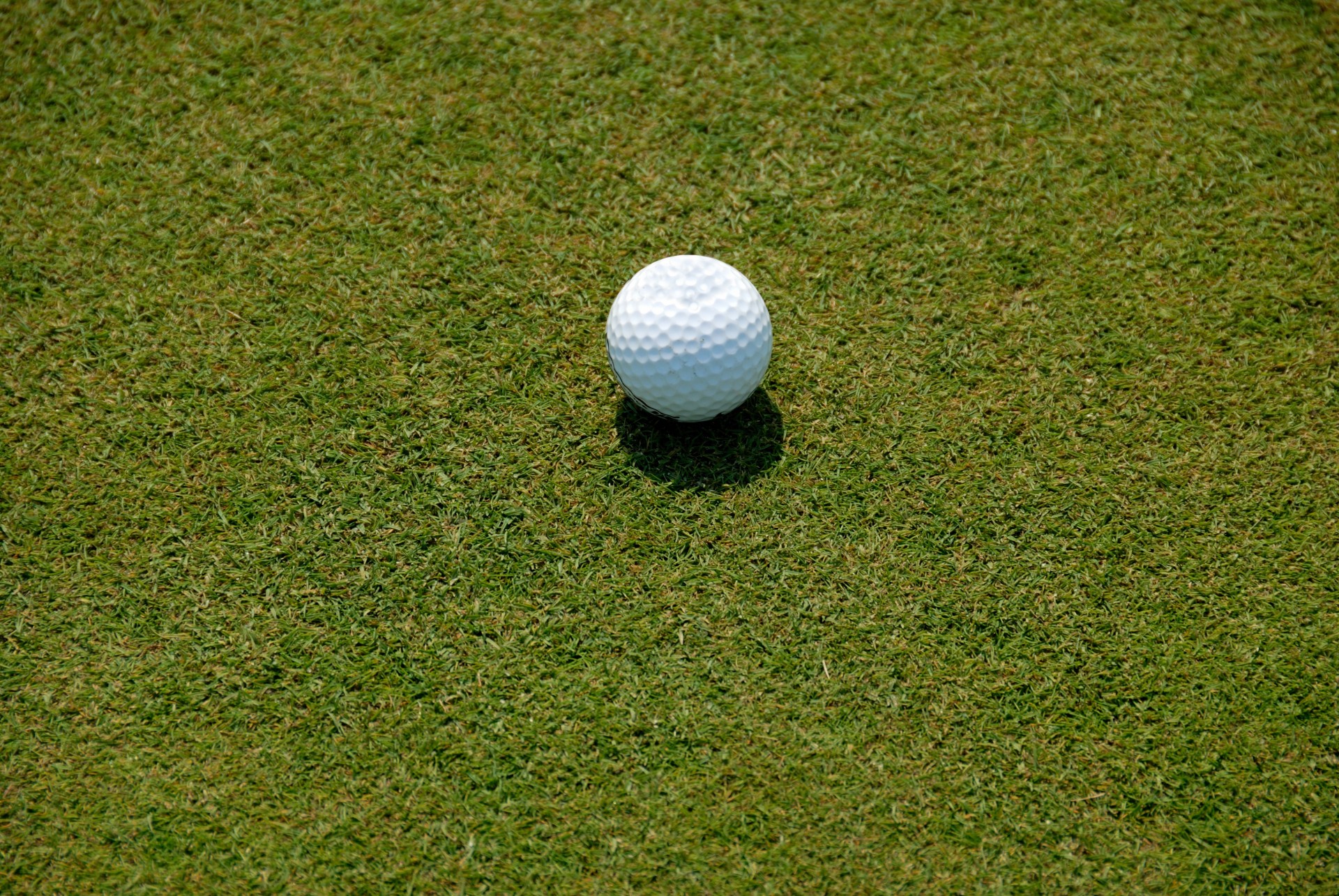 Golf Ball on practice putting green
