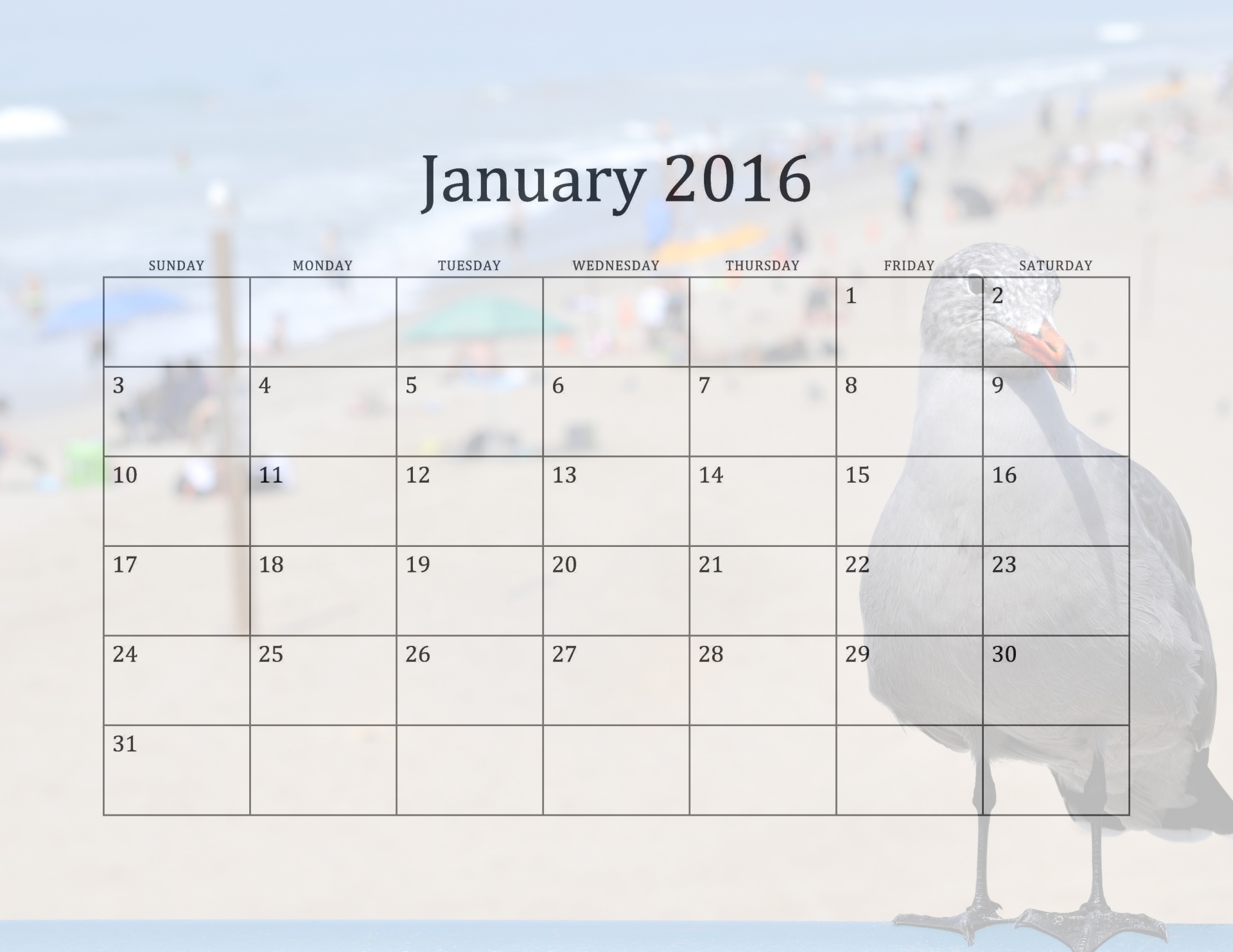 January 2016 Beach Calendar