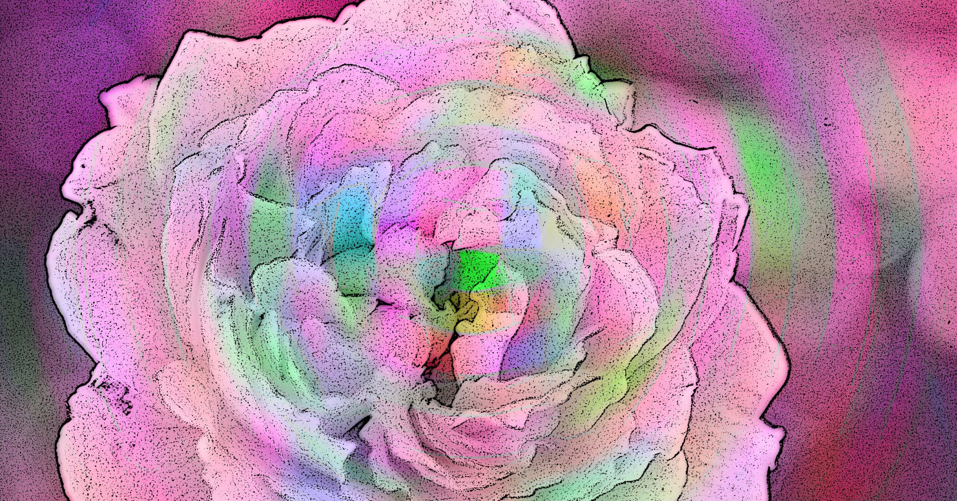 Pink Psychedelic Rose