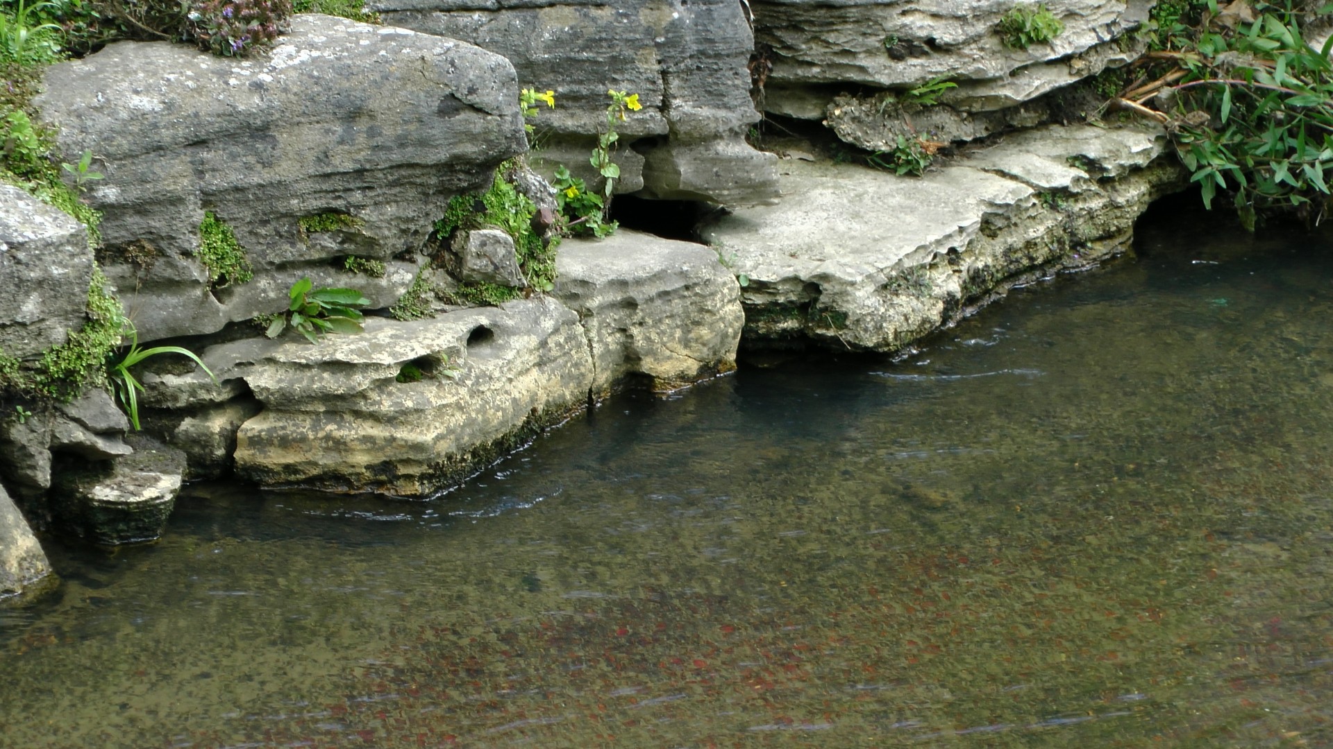 Riverbank And Rocks