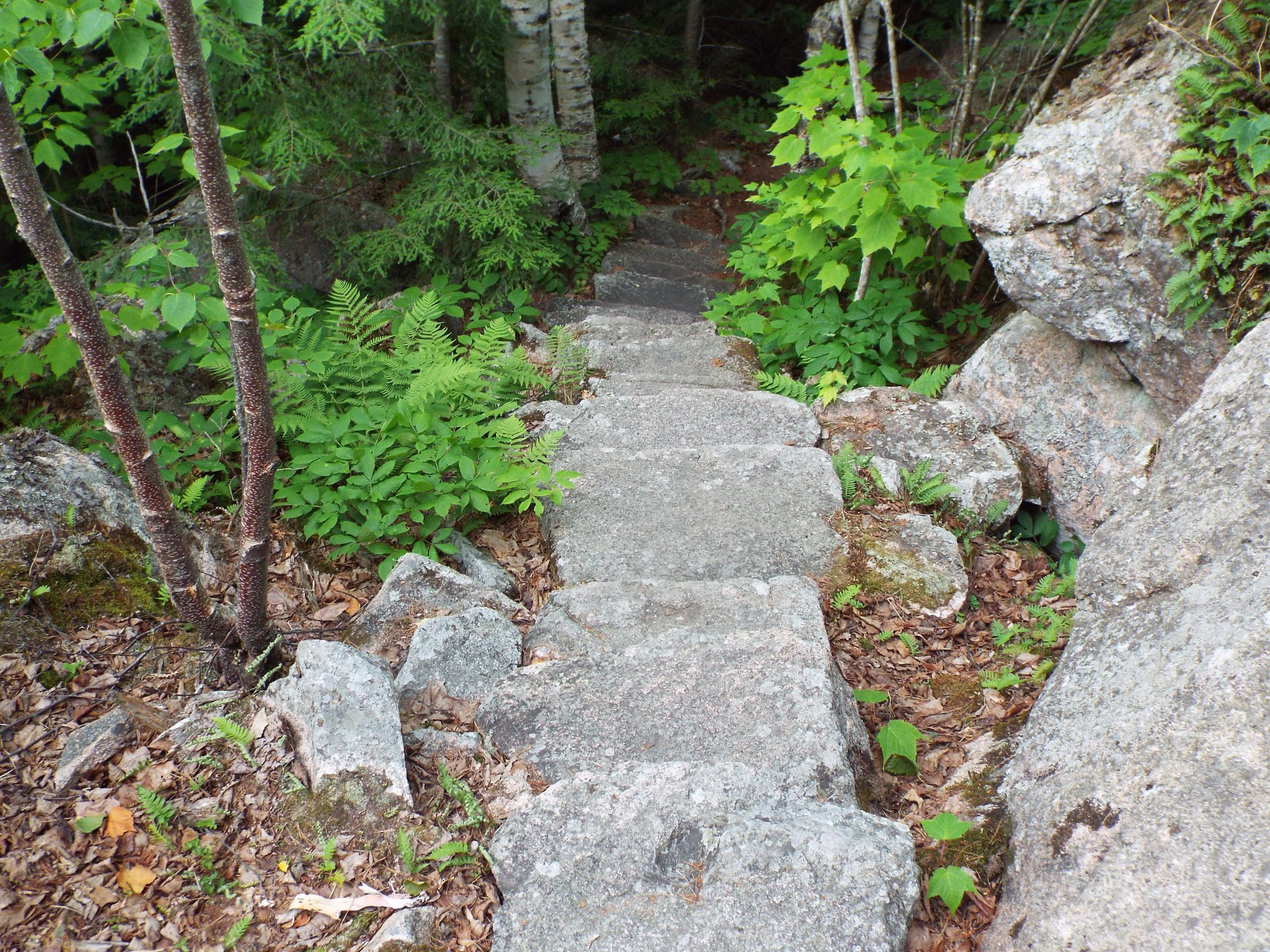 photo of stone steps