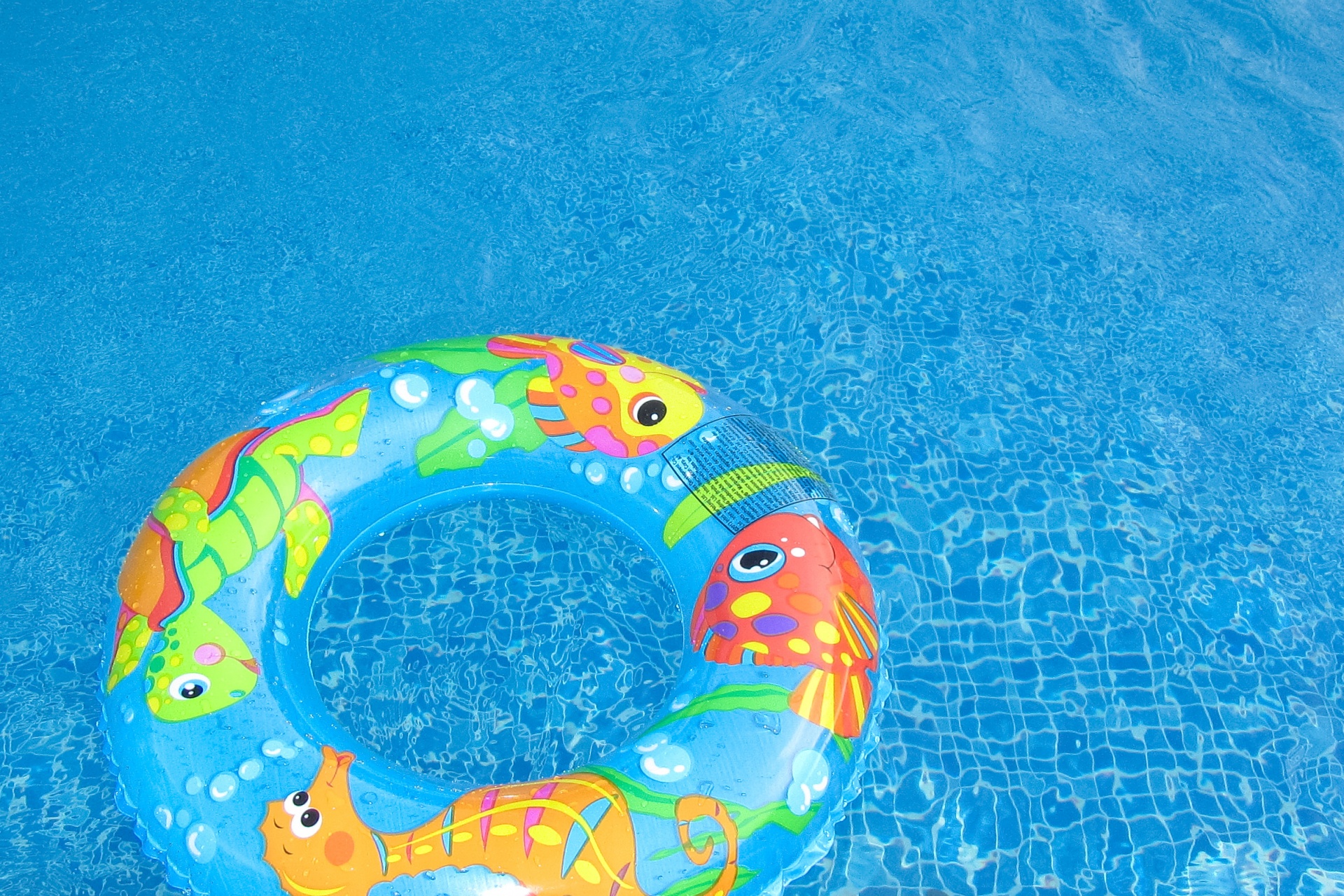 Swim Ring In A Pool