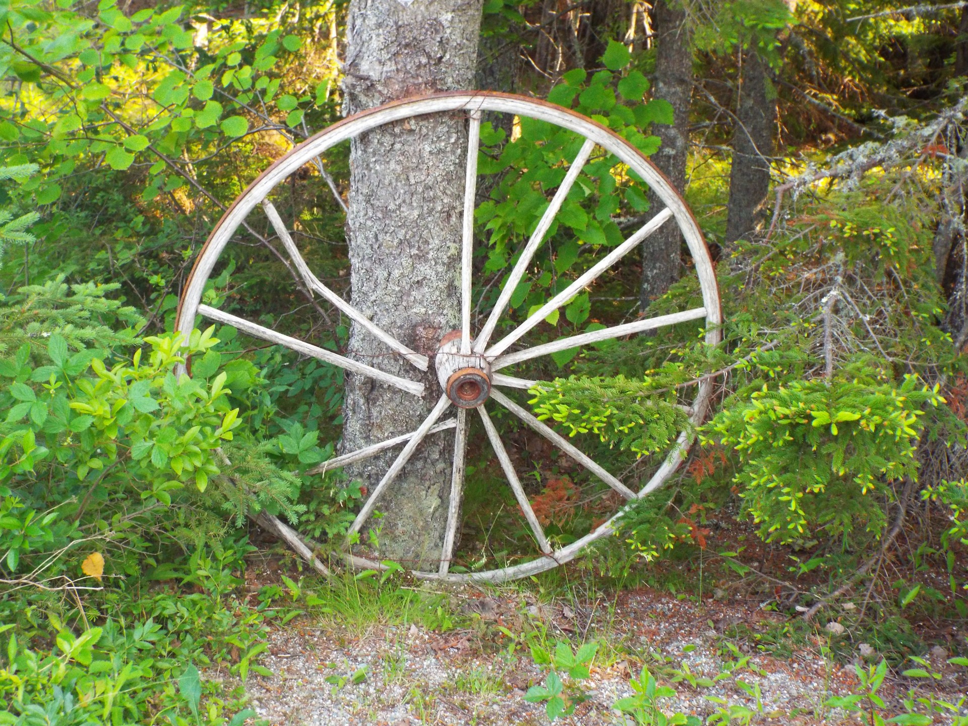 photo of an old wagon wheel