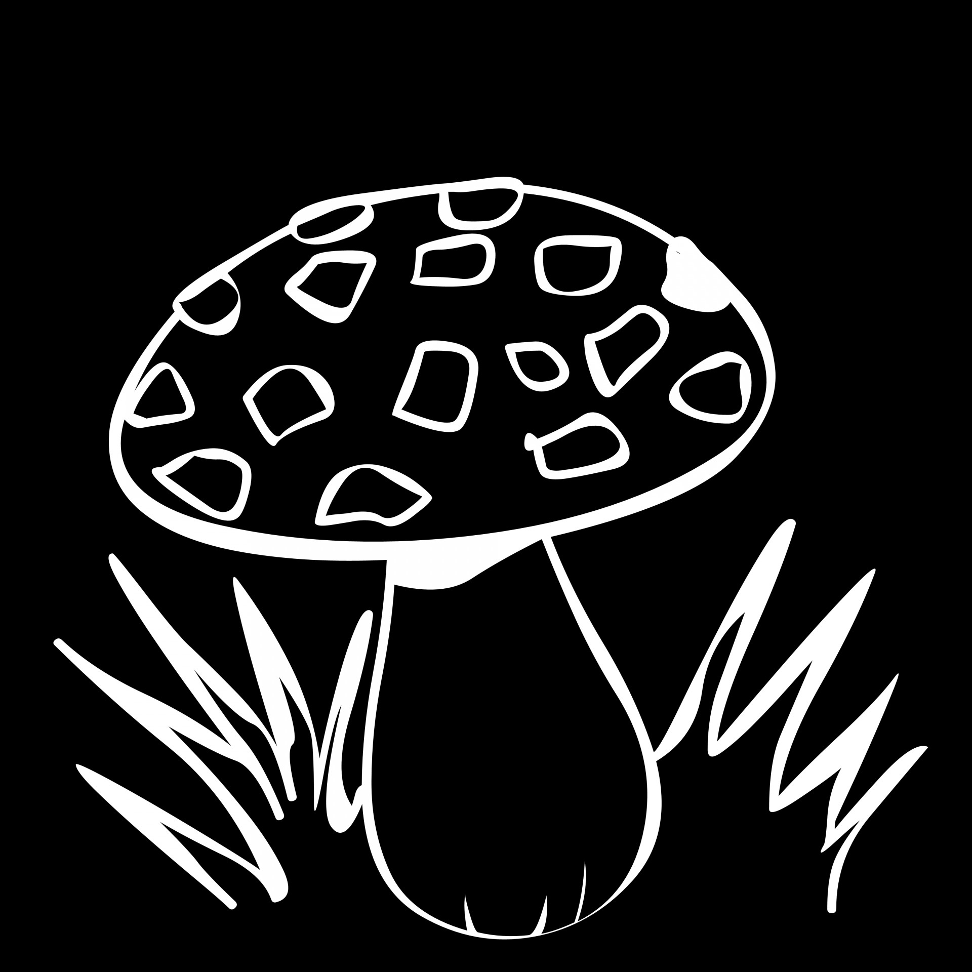 drawing of a white mushroom on black background