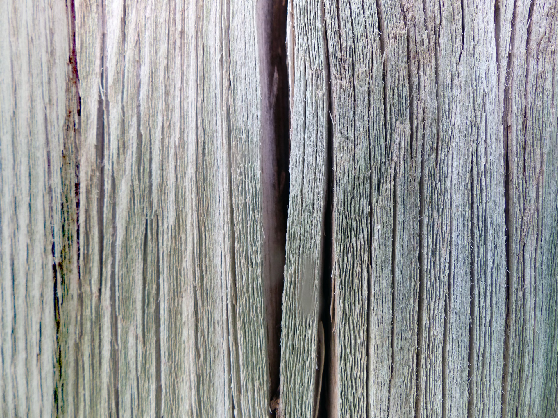 Wood Fence Texture Closeup