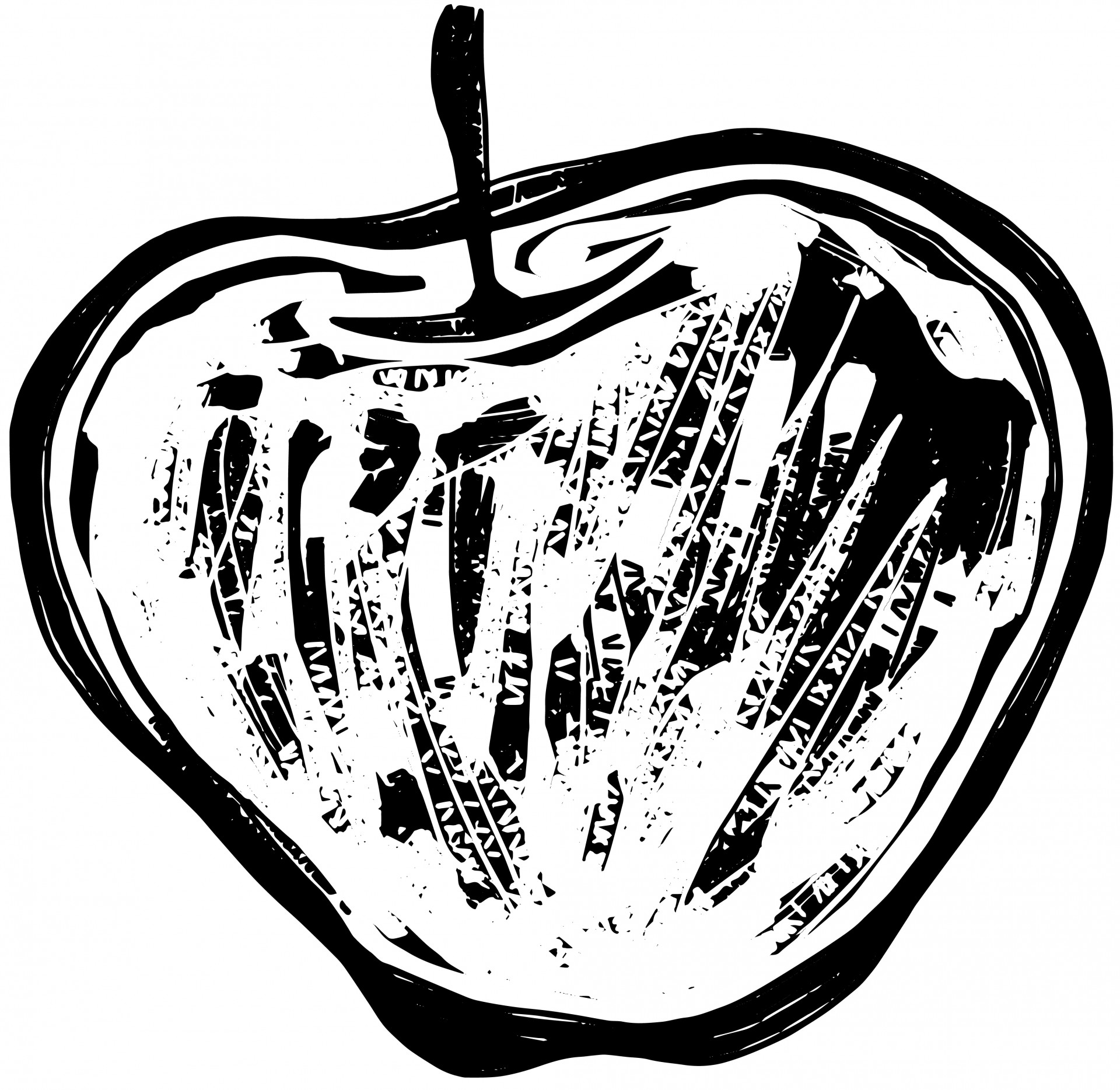 Hand drawn digital doodle of an apple in the style of a woodcut illustration.