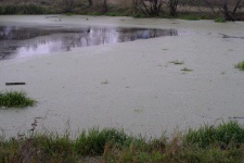 Pond With Mud