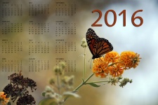 2016 Monarch Butterfly Calendar #2