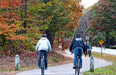 Bicycling In The Fall