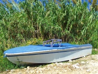 Blue Boat & Bamboo