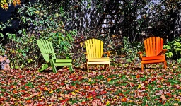 Bright Lawn Chairs And Foliage