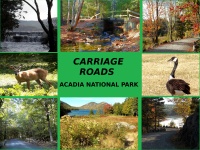 Carriage Road