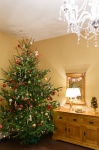 Christmas Tree In A Room