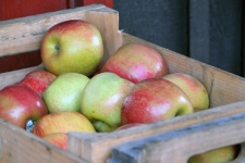 Crate Of Apples
