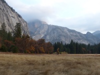 Fall Color In Yosemite