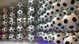 Footballs / Soccer Balls